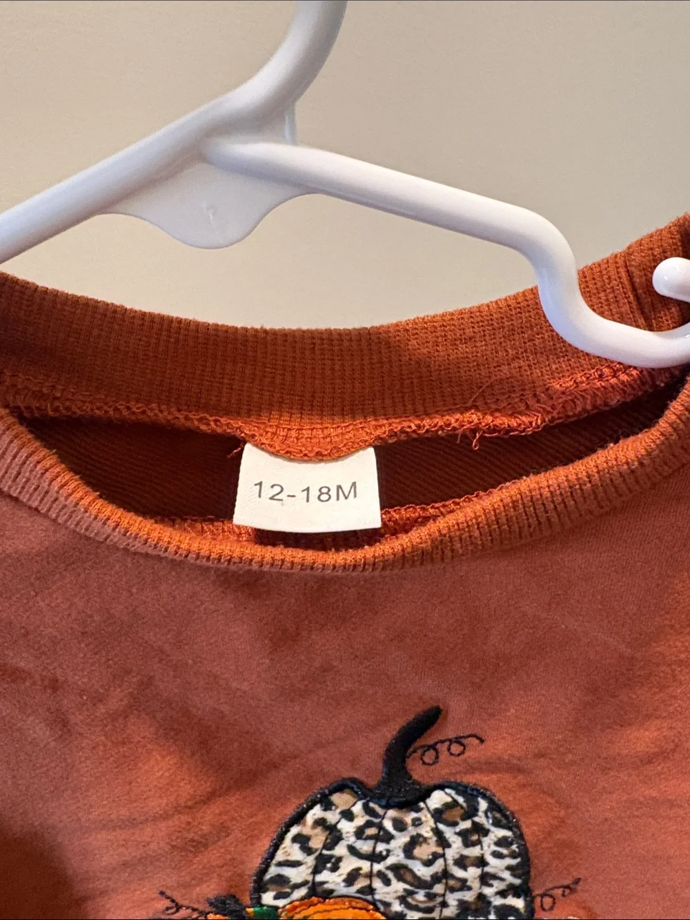 Orange Long-Sleeve Pumpkin Graphic Baby Bodysuit Size 12-18 months